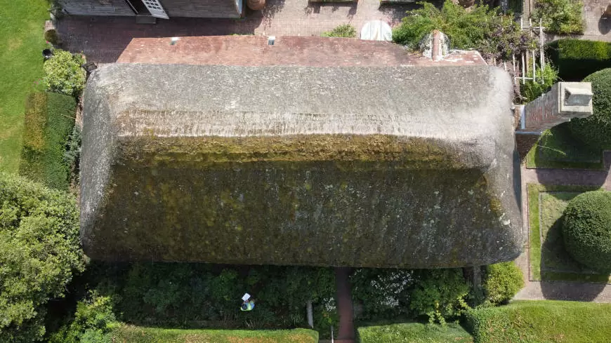 Birds Eye View of Thatch