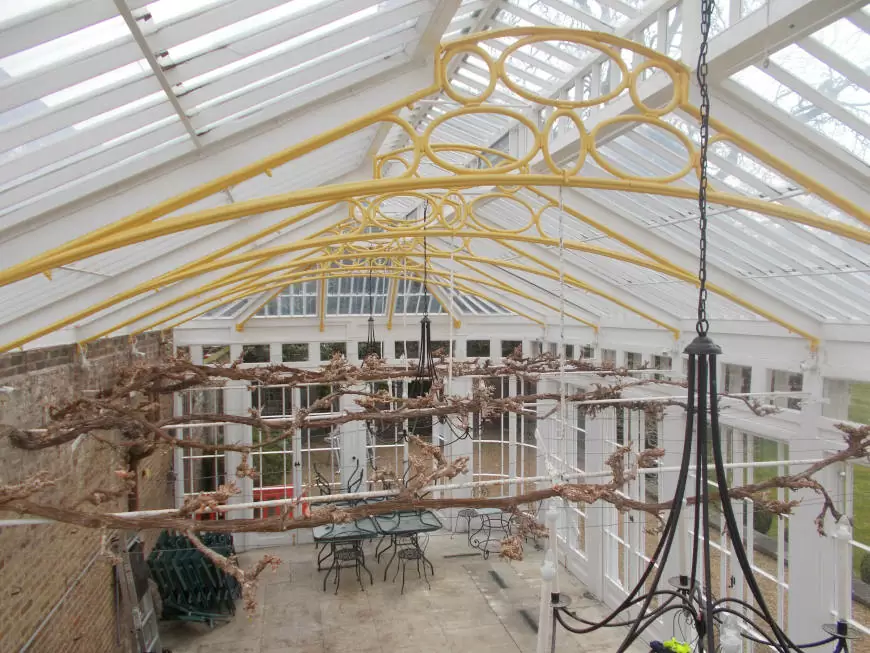 Bushy House Conservatory image 3