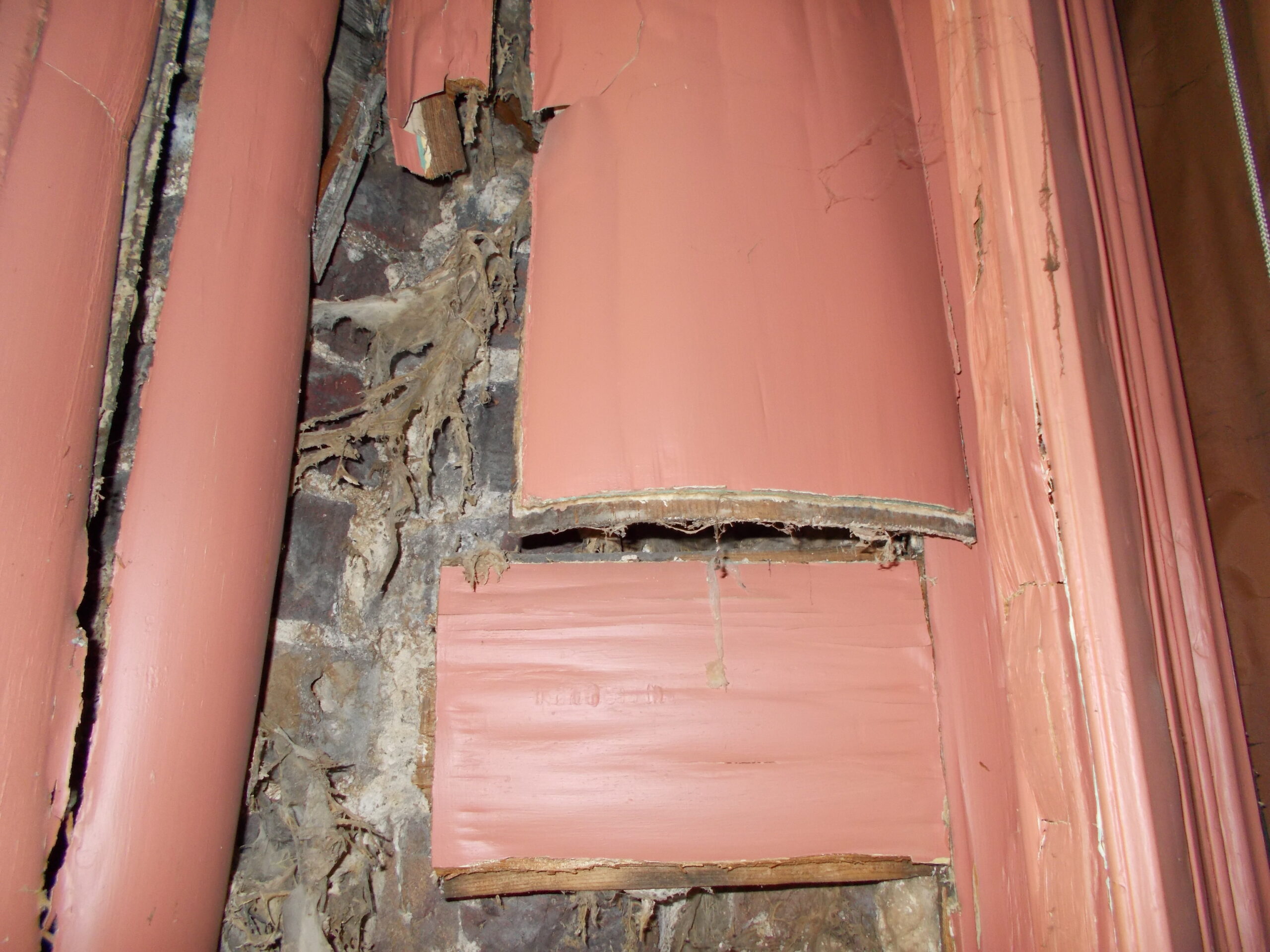 Timber Condition Dry Rot
