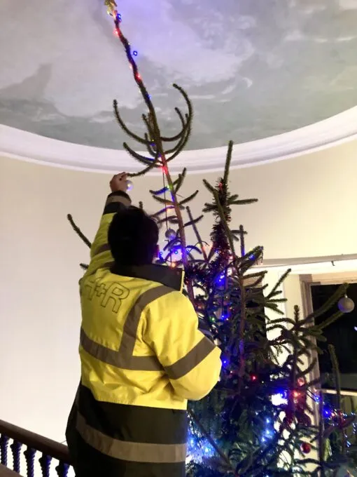 Christmas Tree Lights