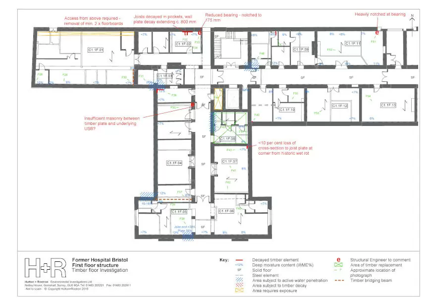 Dry Rot Infection to the floor structures