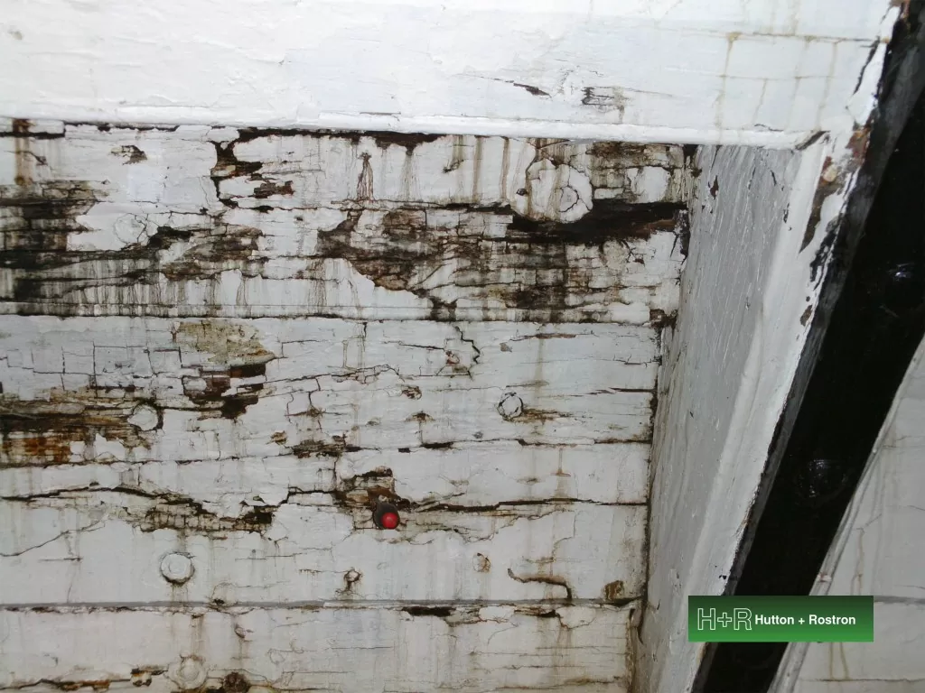 Damp Timber Joist