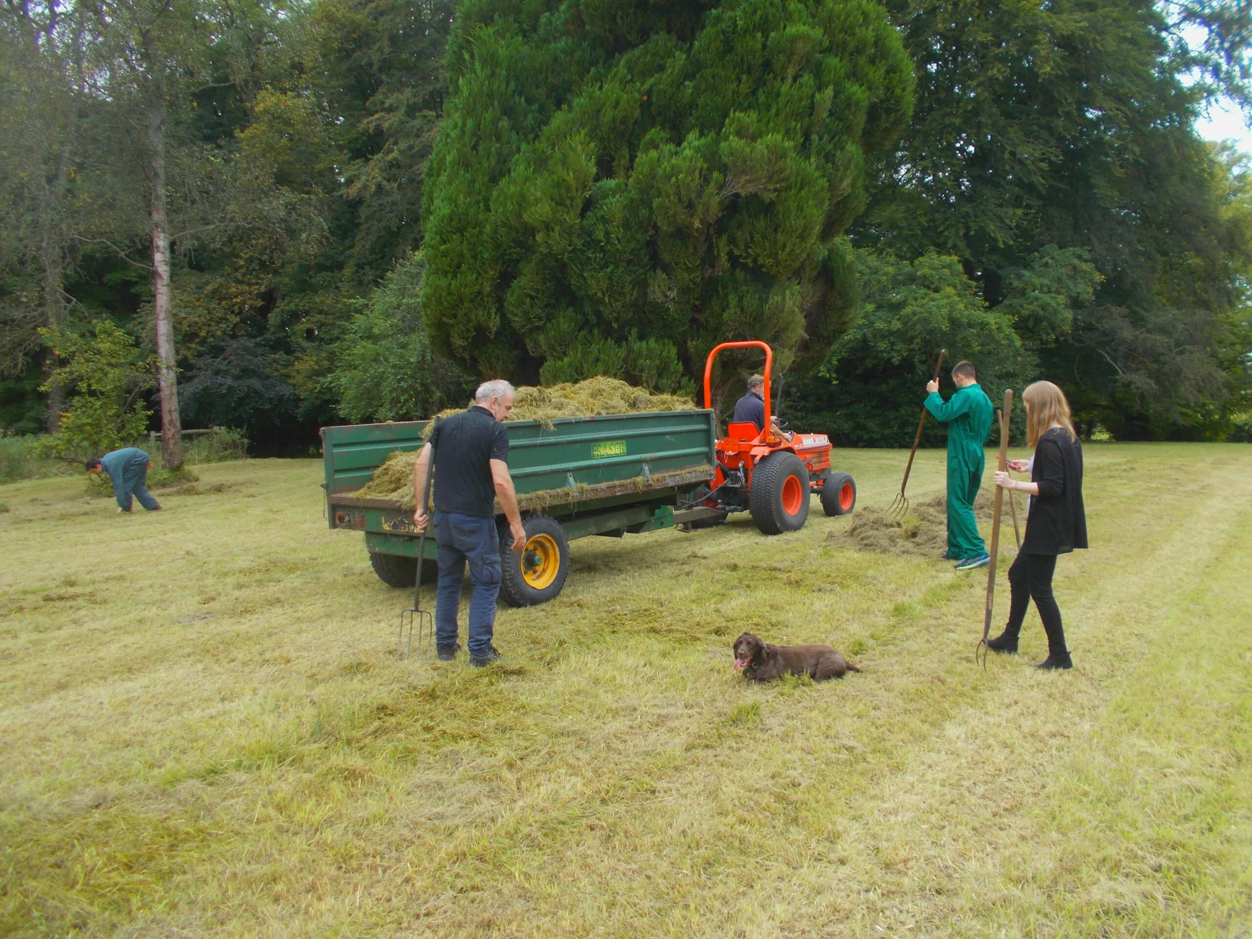 Haymaking