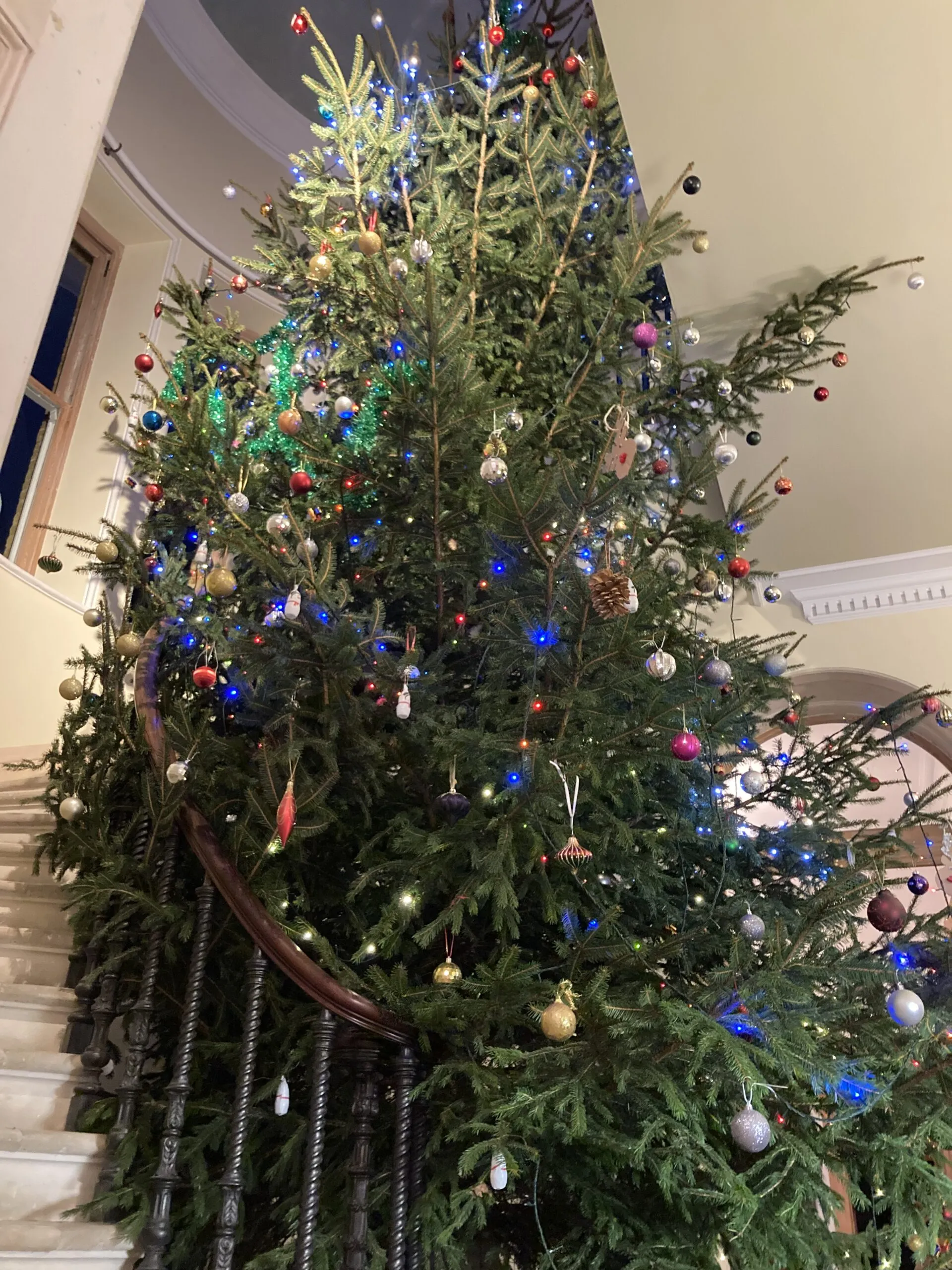 Christmas Tree