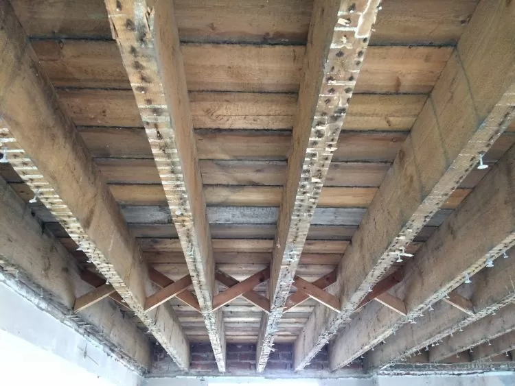 Timber Condition Survey