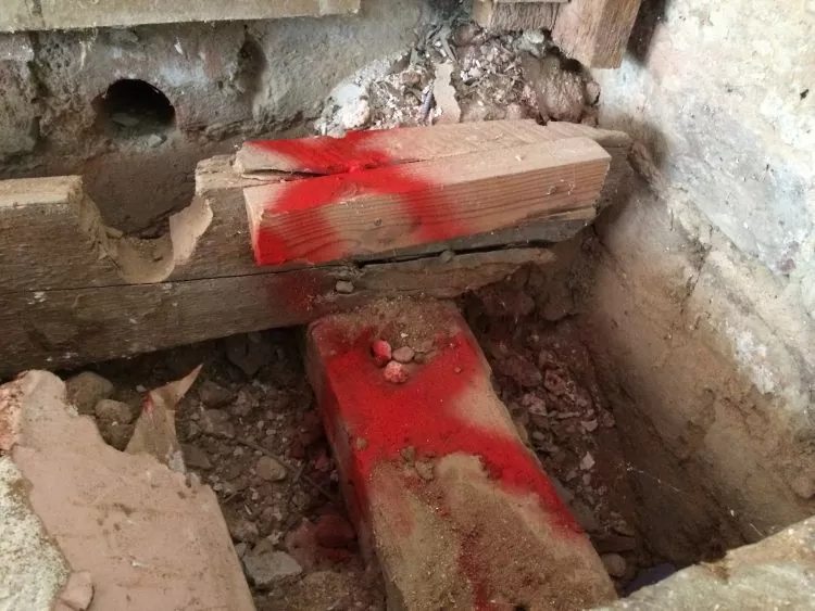 Timber Condition Survey