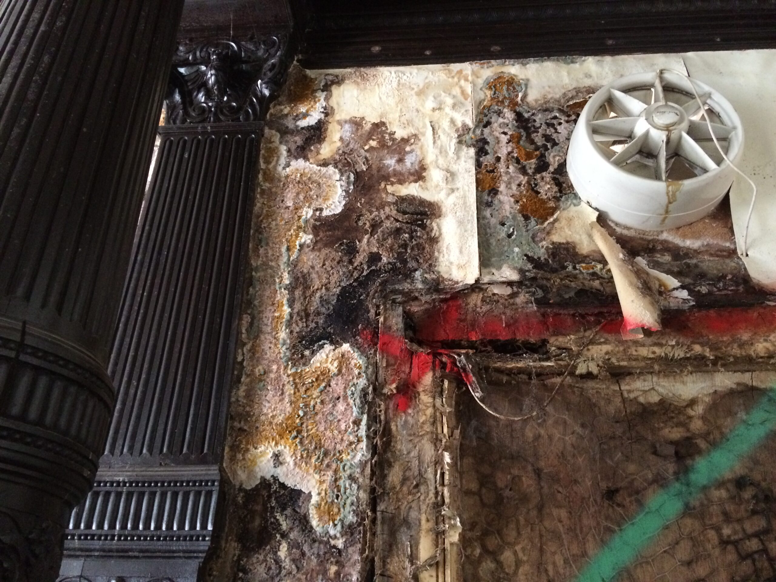 Timber Condition Dry Rot