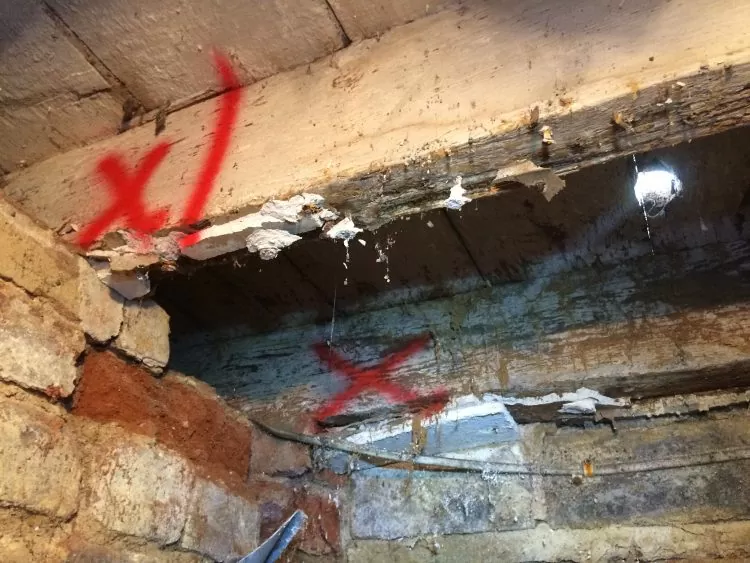 Timber Condition Survey