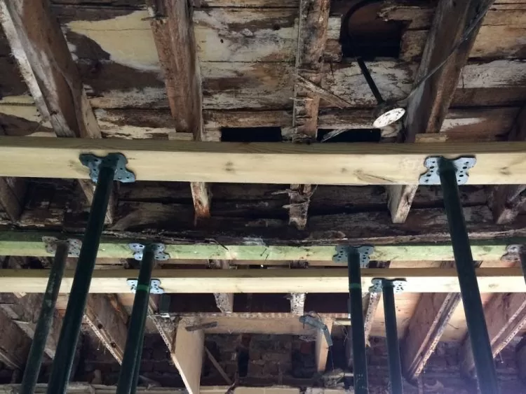 Timber Condition Survey