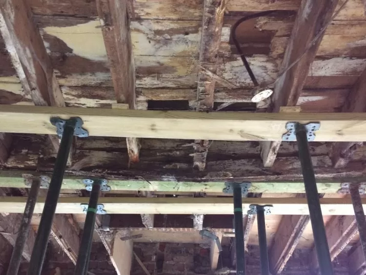 Timber Condition Survey