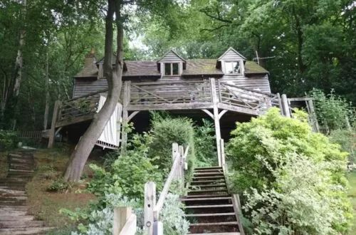 House in the Trees