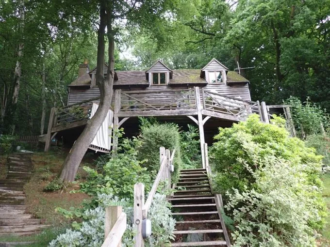 House in the Trees