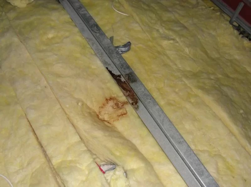 Timber Cassette Roof