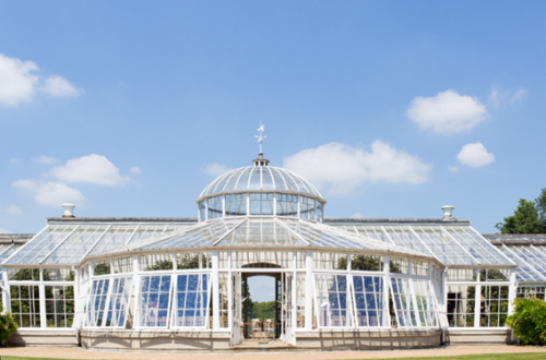 Dyer, J. (2019). Chiswick House Conservatory: Then and now. Chiswick House & Gardens Trust. Available at: https://chiswickhouseandgardens.org.uk/2019/04/24/chiswick-house-conservatory/.