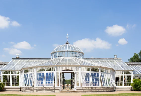 Dyer, J. (2019). Chiswick House Conservatory: Then and now. Chiswick House & Gardens Trust. Available at: https://chiswickhouseandgardens.org.uk/2019/04/24/chiswick-house-conservatory/.