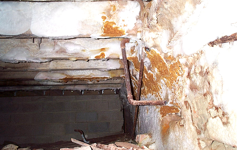 Reactivated dry rot on internal walls