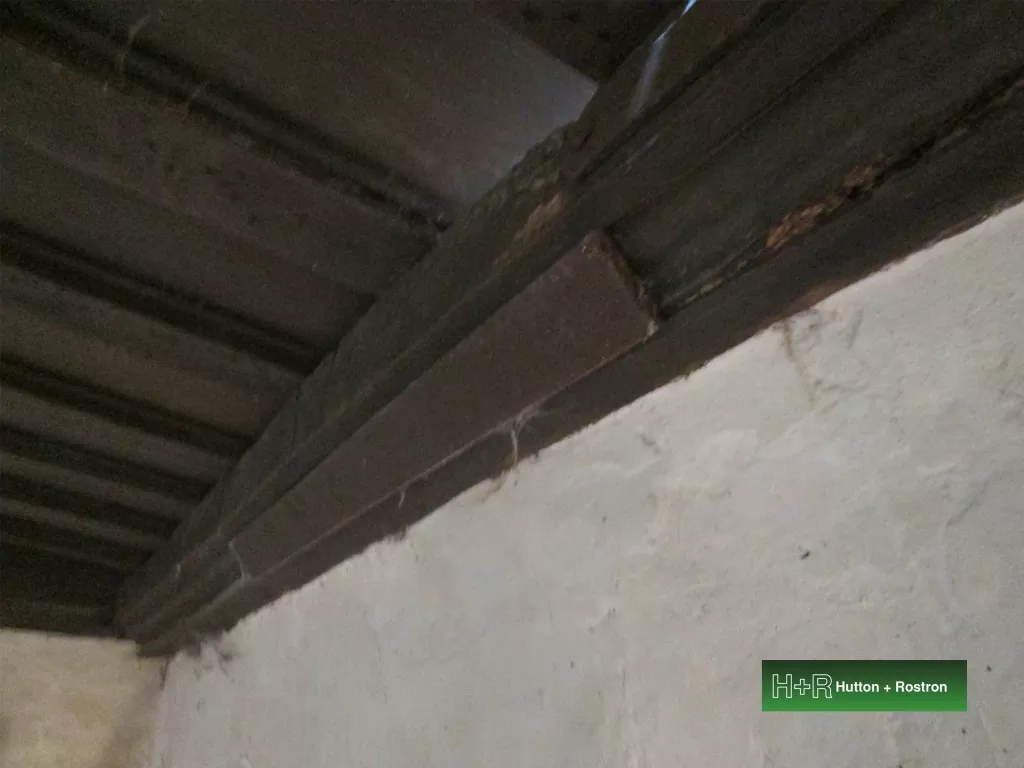 Timber decay