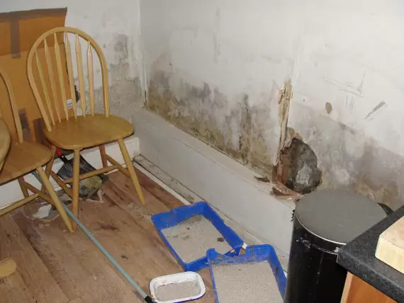 Suspect Damp Proofing Failure - Main Case Study Image - Rising Damp