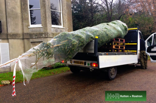 The-7.5m-Christmas-tree-being-delivered-at-Netley-House